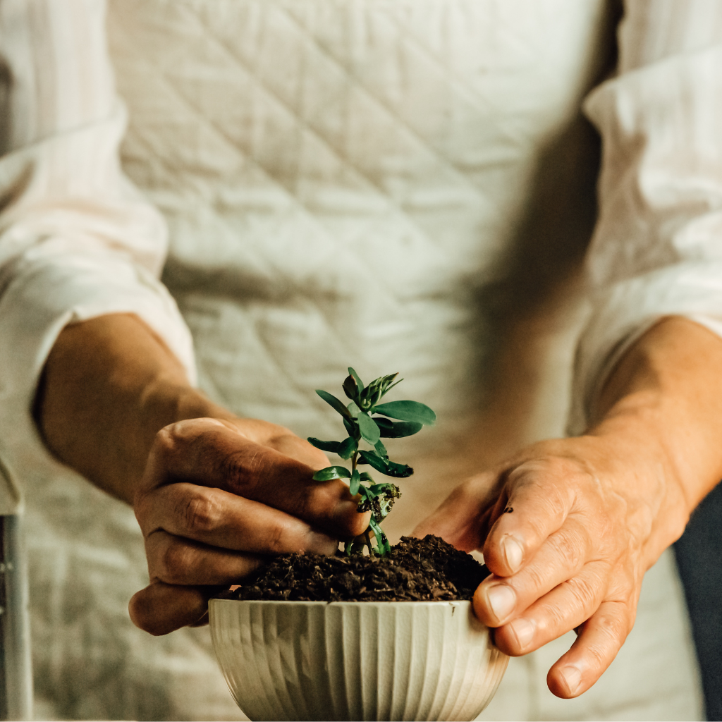 Papeles reciclados compostables para proyectos de impresión